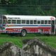 19- Un bus panameen 